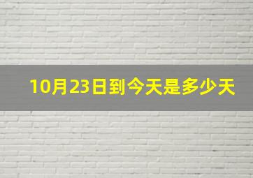 10月23日到今天是多少天