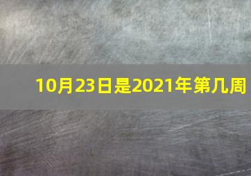 10月23日是2021年第几周