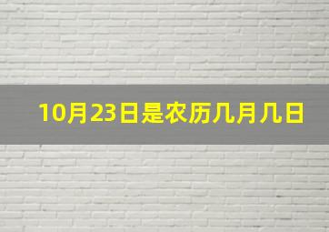 10月23日是农历几月几日