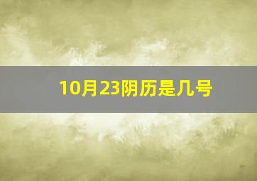 10月23阴历是几号