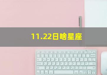 11.22日啥星座