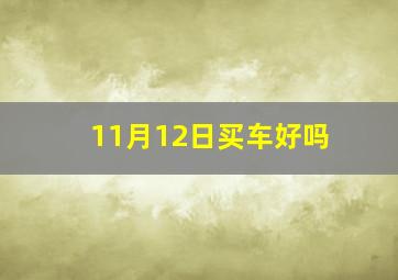 11月12日买车好吗