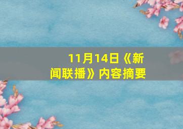 11月14日《新闻联播》内容摘要