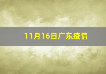 11月16日广东疫情