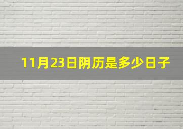 11月23日阴历是多少日子