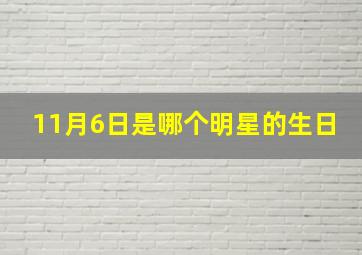 11月6日是哪个明星的生日