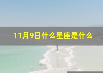 11月9日什么星座是什么