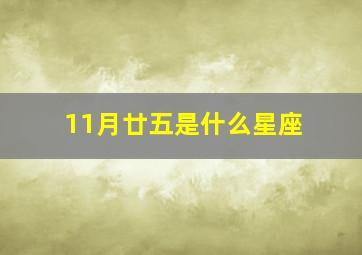 11月廿五是什么星座