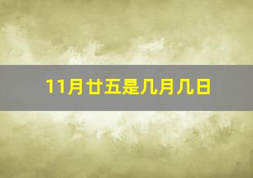 11月廿五是几月几日