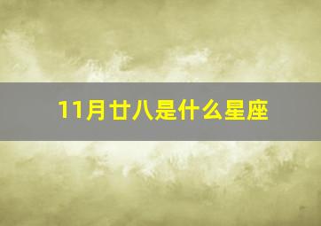 11月廿八是什么星座