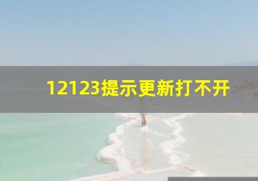 12123提示更新打不开