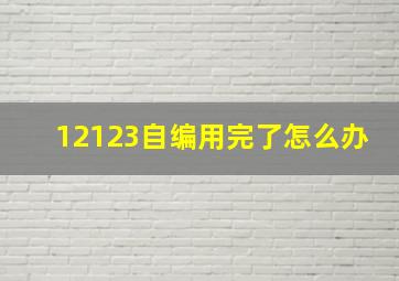 12123自编用完了怎么办