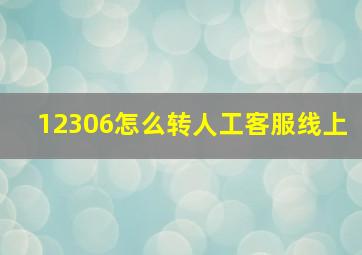 12306怎么转人工客服线上