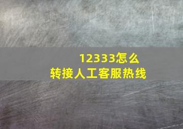 12333怎么转接人工客服热线