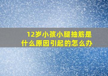 12岁小孩小腿抽筋是什么原因引起的怎么办