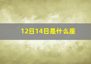 12日14日是什么座