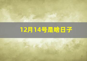 12月14号是啥日子