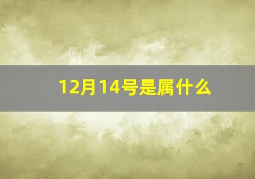 12月14号是属什么