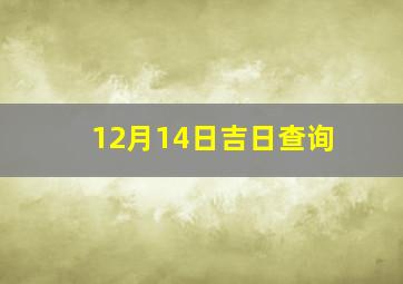 12月14日吉日查询