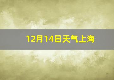 12月14日天气上海