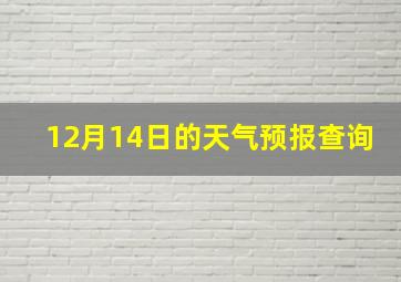 12月14日的天气预报查询