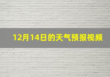 12月14日的天气预报视频