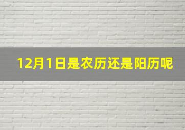 12月1日是农历还是阳历呢