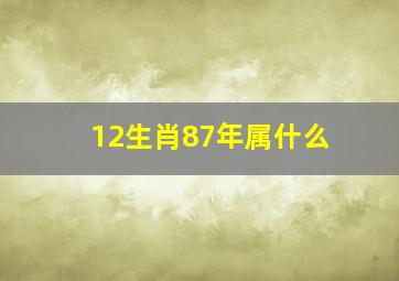 12生肖87年属什么