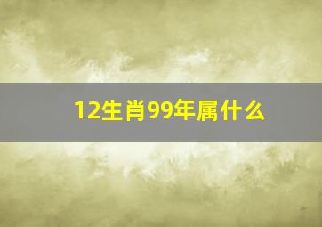 12生肖99年属什么