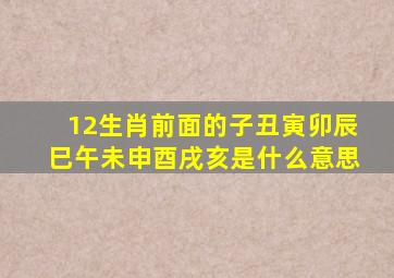 12生肖前面的子丑寅卯辰巳午未申酉戌亥是什么意思