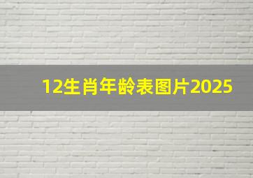 12生肖年龄表图片2025