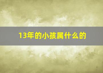 13年的小孩属什么的