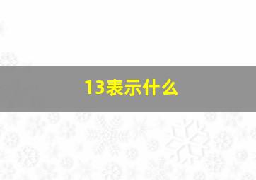 13表示什么