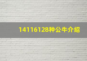 14116128种公牛介绍