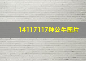 14117117种公牛图片