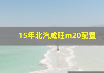 15年北汽威旺m20配置