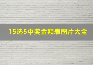 15选5中奖金额表图片大全