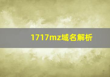 1717mz域名解析