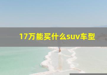 17万能买什么suv车型