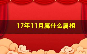 17年11月属什么属相