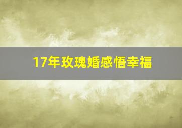 17年玫瑰婚感悟幸福