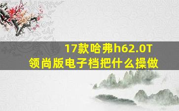 17款哈弗h62.0T领尚版电子档把什么操做