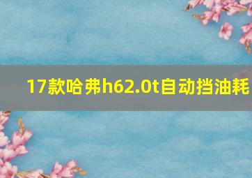 17款哈弗h62.0t自动挡油耗