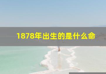 1878年出生的是什么命