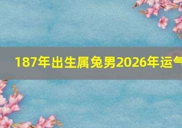 187年出生属兔男2026年运气