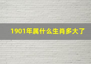 1901年属什么生肖多大了