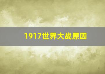 1917世界大战原因