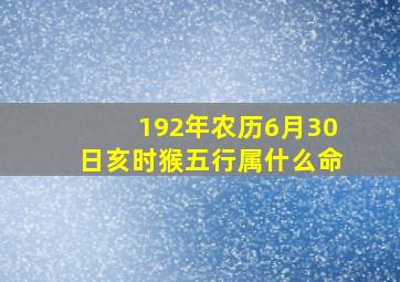 192年农历6月30日亥时猴五行属什么命