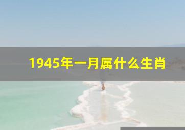 1945年一月属什么生肖