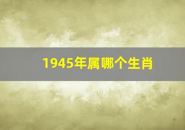 1945年属哪个生肖